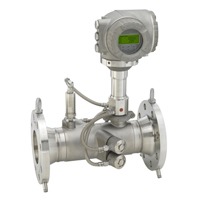 Endress+Hauser - Ultrasonic Flowmeter