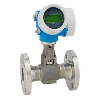 Endress+Hauser - Vortex Flowmeter