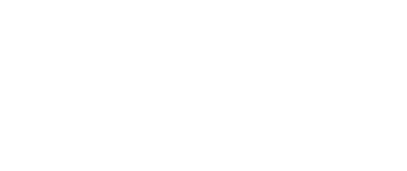 Vector University Logo (White)